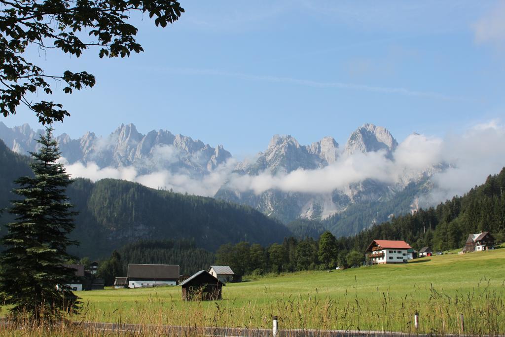 Muehlradl Apartments Gosau Exterior photo